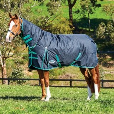 Weatherbeeta ComfiTec Classic Turnout Combo 220g Medium (Black/Green)