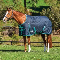 Weatherbeeta ComfiTec Classic Turnout Standard 220g Medium (Black/Green)