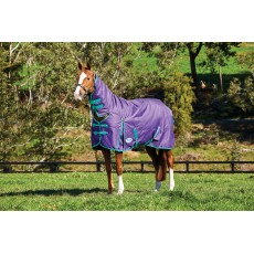 Weatherbeeta Comfitec - Essential Turnout Rug - Combo Neck - Heavyweight (Purple/Green)