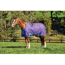 Weatherbeeta ComfiTec - Essential Turnout - Standard - Medium (Purple/Green)