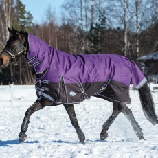 Weatherbeeta ComfiTec - Plus Dynamic Turnout - Combo - Heavy (Purple/Black)