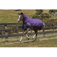 Weatherbeeta Comfitec - Plus Dynamic Turnout Rug - Combo Neck - Mediumweight (Purple/Black)