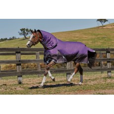 Weatherbeeta ComfiTec - Plus Dynamic Turnout - Detach Neck - Heavy (Purple/Black)
