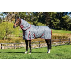Weatherbeeta ComfiTec - Plus Dynamic Turnout - Detach Neck - Medium (Grey/Burgundy)
