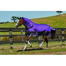 Weatherbeeta Comfitec - Plus Dynamic Turnout Rug - Detach-A-Neck - Mediumweight (Purple/Black)