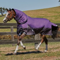 Weatherbeeta ComfiTec - Plus Dynamic Turnout - Detach Neck - Med/Lite (Purple/Black)