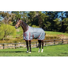 Weatherbeeta ComfiTec - Plus Dynamic Turnout - Standard - Medium (Grey/Burgundy)