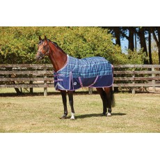 Weatherbeeta ComfiTec - Plus Dynamic Turnout - Standard - Medium (Navy/Blue/Purple)