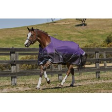 Weatherbeeta ComfiTec Plus Dynamic Turnout Standard 220g Medium (Purple/Black)