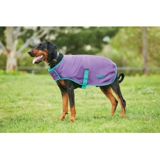 Weatherbeeta Comfitec Windbreaker Free Parka Dog Coat (Bright Purple/Green)