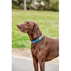Weatherbeeta Elegance Dog Collar (Blue)