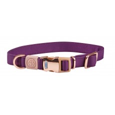 Weatherbeeta Elegance Dog Collar (Purple)