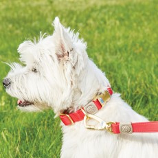 Weatherbeeta Elegance Dog Collar (Red)