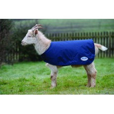 Weatherbeeta Goat Coat (Navy)