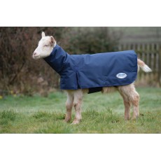 Weatherbeeta Goat Coat With Neck  (Navy)