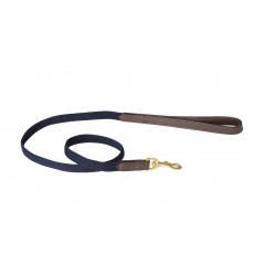 Weatherbeeta Leather Plaited Dog Lead (Brown/Navy)