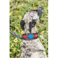 Weatherbeeta Lurcher Polo Leather Dog Collar  (Beaufort Brown/Pink/Blue)