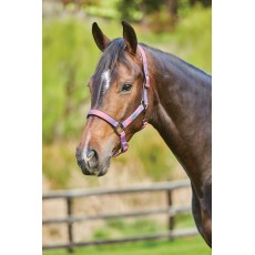 Weatherbeeta Ombre Headcollar (Desert Sky)