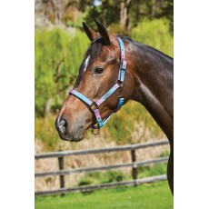 Weatherbeeta Ombre Headcollar (Lagoon Mist)