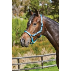 Weatherbeeta Ombre Headcollar (Ocean Breeze)