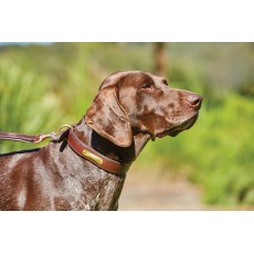 Weatherbeeta Padded Leather Dog Collar (Tan)