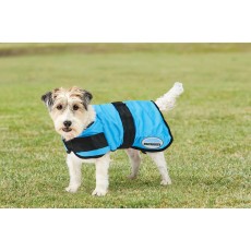 Weatherbeeta Therapy-Tec Cooling Dog Coat (Blue)