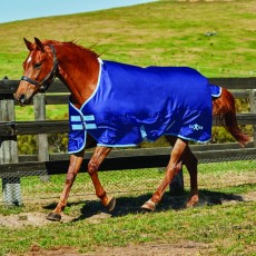 Saxon 600D IV Turnout - Standard - Light (Navy/Light Blue)