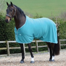 Saxon Coordinate Polar Fleece Standard Neck (Teal/Black/White)