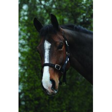 Saxon Economy Headcollar (Black)