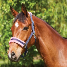 Saxon Element Fleece Headcollar (Navy/Pink)