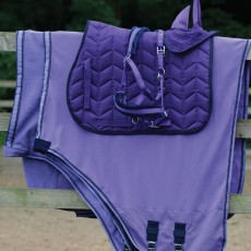 Saxon Element Net Cooler Standard Neck (Purple/Navy)