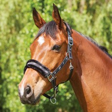 Saxon Fleece Lined Ribbon Headcollar (Black/Black)