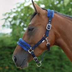 Saxon Fleece Lined Ribbon Headcollar (Navy/Blue)