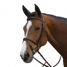 Mark Todd Square Raised Padded Bridle with Flash Noseband (Havana)