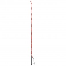 Dublin Lunge Whip (Red)