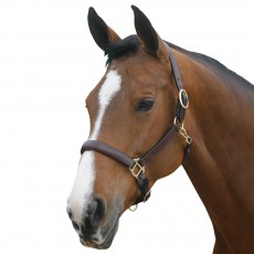 Mark Todd Leather Headcollar (Havana)