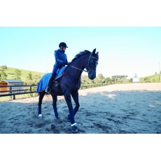 Dublin Ladies Nina Puffer Jacket (Navy)