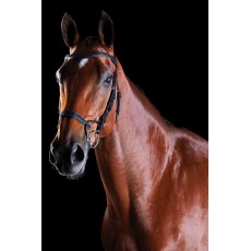 Collegiate Comfitec Training Bridle (Black)