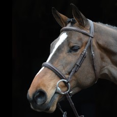 Collegiate Comfort Crown Padded Raised Cavesson Bridle (Brown)