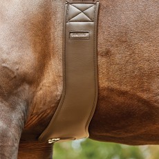 Collegiate Anatomic Girth (Brown)