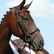 Collegiate Syntovia+ Padded Raised Flash Bridle (Brown)