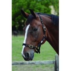 Roma Adjustable Headcollar (Black) Roma Adjustable Headcollar (Black)