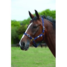 Roma Adjustable Headcollar (Navy) Roma Adjustable Headcollar (Navy)