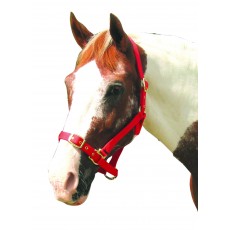 Roma Adjustable Headcollar (Red) Roma Adjustable Headcollar (Red)