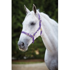 Roma Adjustable Quick Clip Headcollar (Purple)