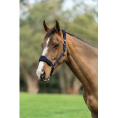 Roma Airmesh Headcollar (Navy)