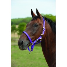 Roma Breakaway Headcollar II (Purple)