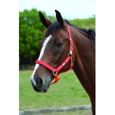 Roma Breakaway Headcollar II (Red)