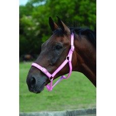 Roma Headcollar & Lead Set (Pink/Silver)