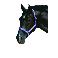 Roma Headcollar & Lead Set (Purple/Silver)